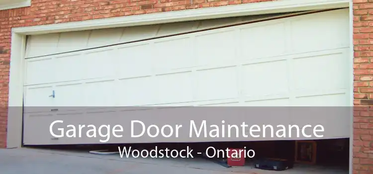 Garage Door Maintenance Woodstock - Ontario