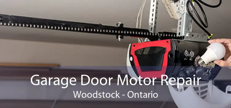 Garage Door Motor Repair Woodstock - Ontario