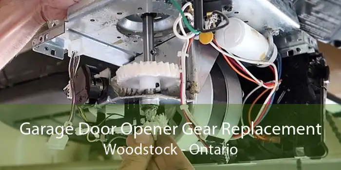 Garage Door Opener Gear Replacement Woodstock - Ontario