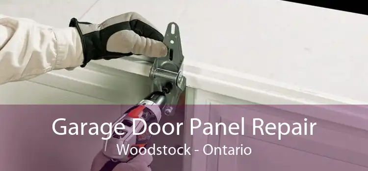 Garage Door Panel Repair Woodstock - Ontario